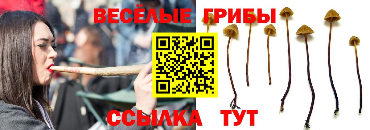 Галлюциногенные грибы мицелий Черняховск